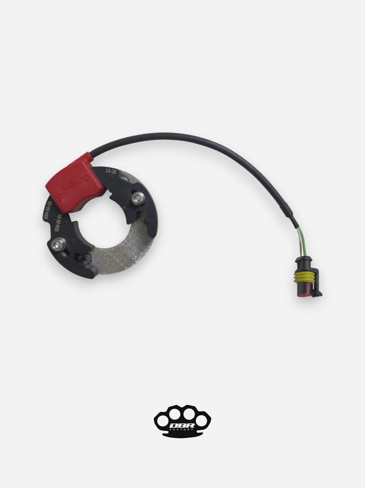 Stator Selettra - KTM Sx 50 Minicross with Crankcase Adapter Plate