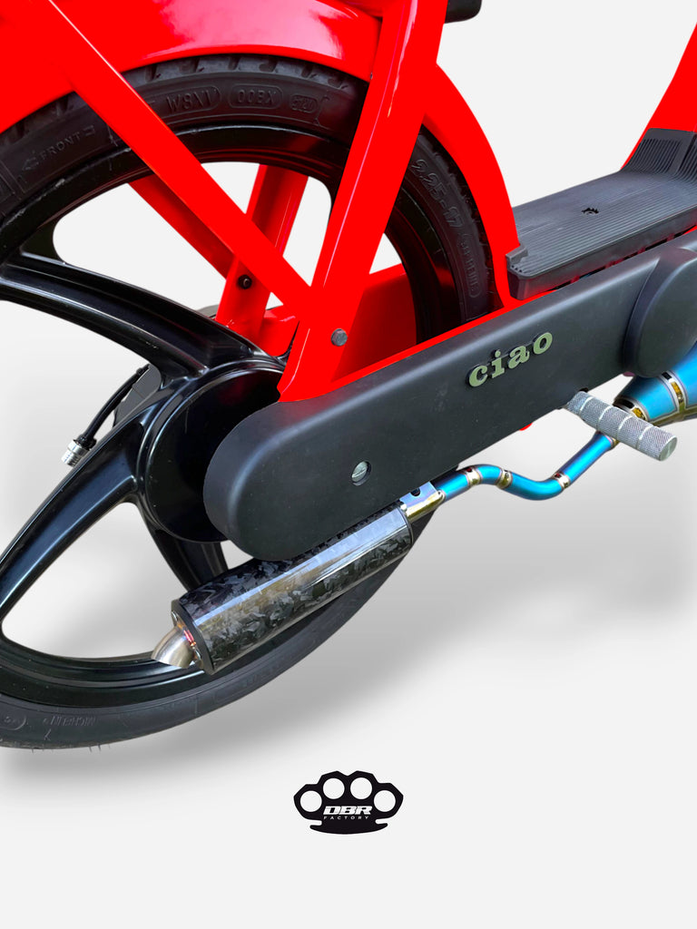 DBR Auspuff Wyvern Titan Multicolor