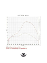 Lade das Bild im Gallery-Viewer, Vespa DBR Mamba S Auspuff